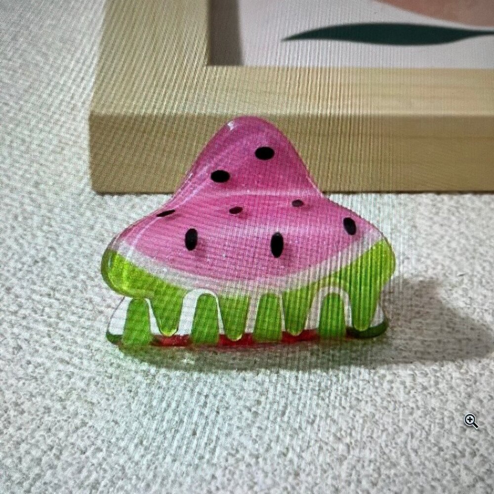 🎁FREE GIFT WITH PUCHASE Watermelon Small Hair Claw Accessory Clip